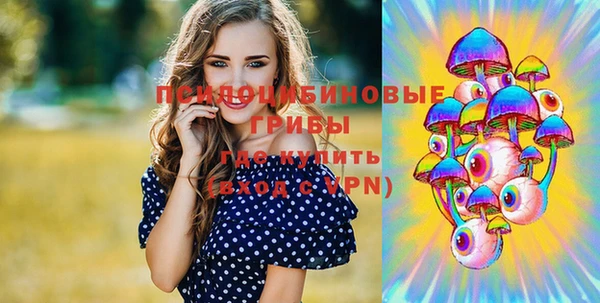 бошки Алексеевка